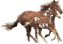 HORSES.GIF (10858 bytes)